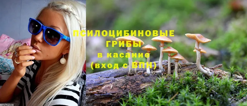 Галлюциногенные грибы Magic Shrooms  Морозовск 